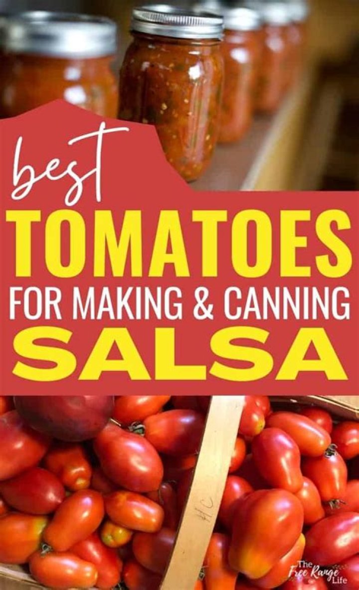 What are the best tomatoes to use for canning salsa?