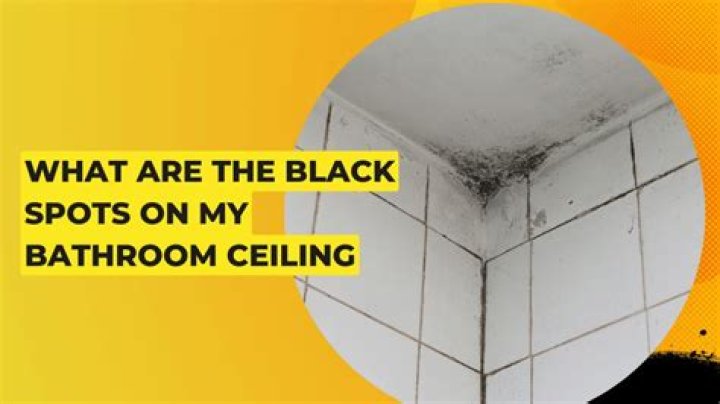 What are the black spots on my ceiling?