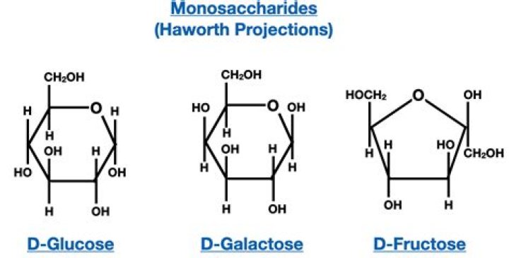 What are the differences in the Haworth structures of a D glucose and ß D glucose?