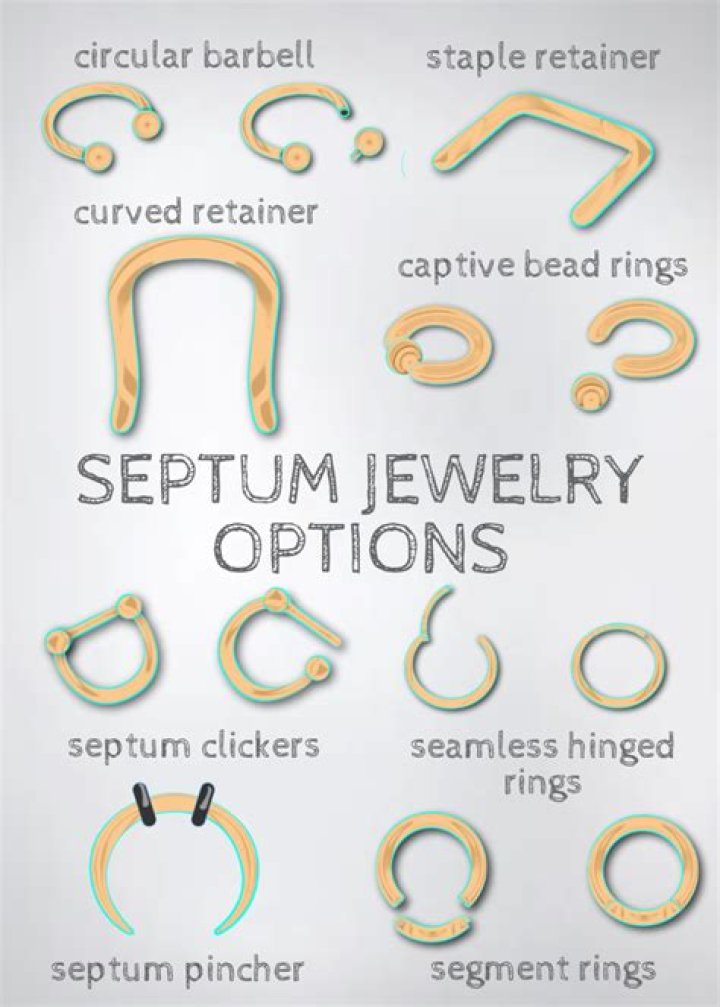 What are the different types of septum rings?