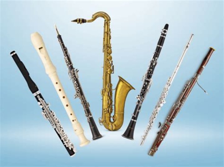 What are the examples of woodwind instruments?