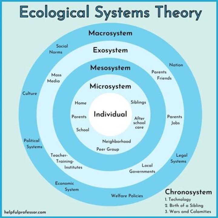 What are the five ecological systems?