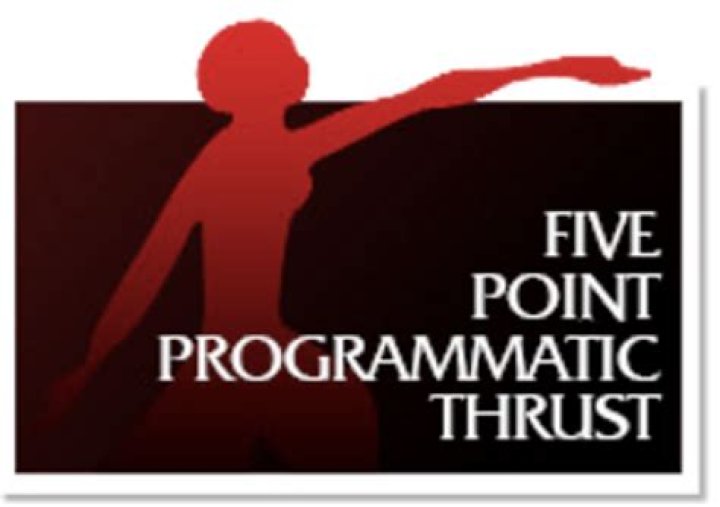 What are the five point programmatic thrust?