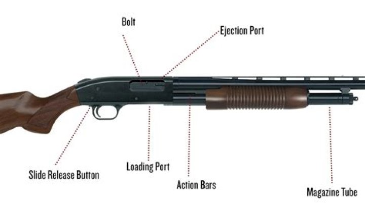 What are the parts of a shotgun called?