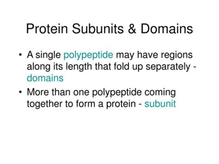 What are the subunits of a protein?