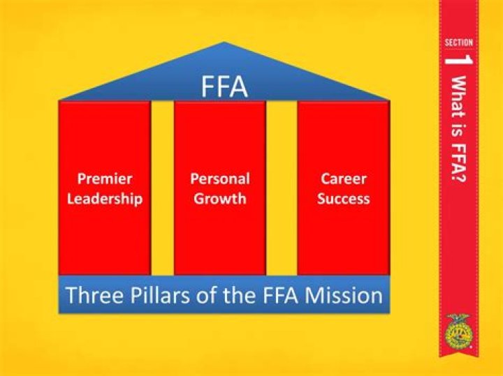 What are three FFA strategies?