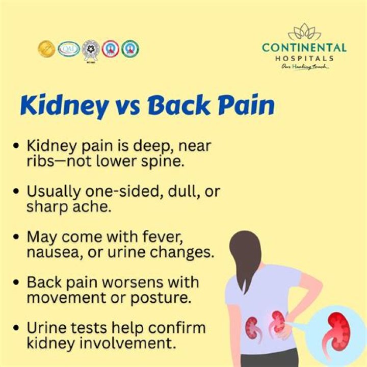 What are two combining forms that mean kidney?