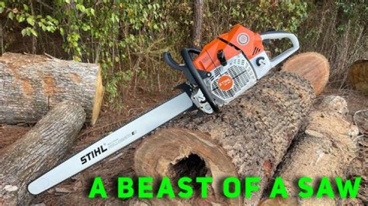 What brand chainsaw do loggers use?