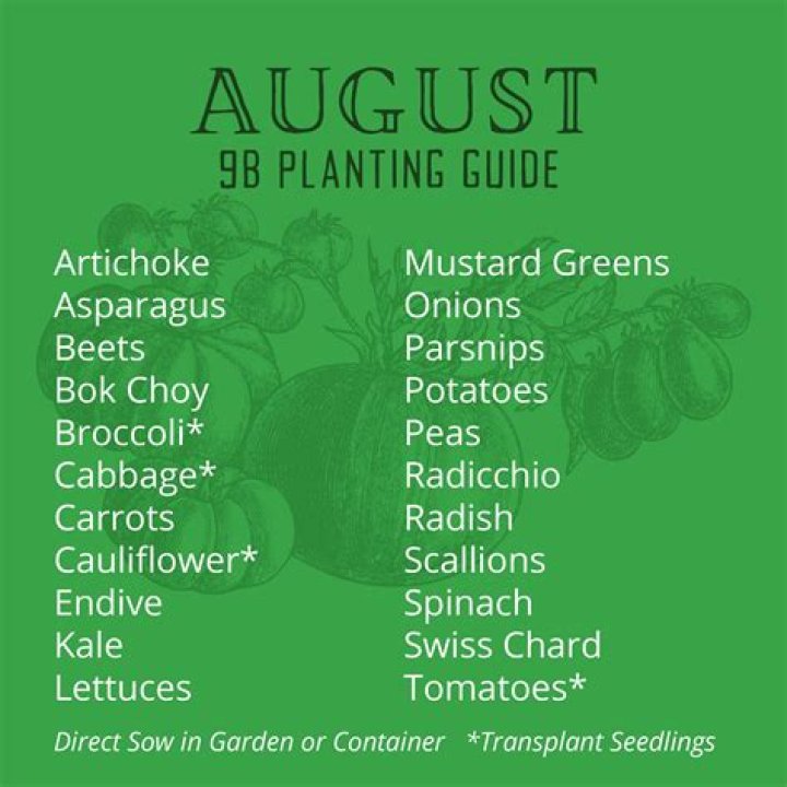 What can I plant in August in California?