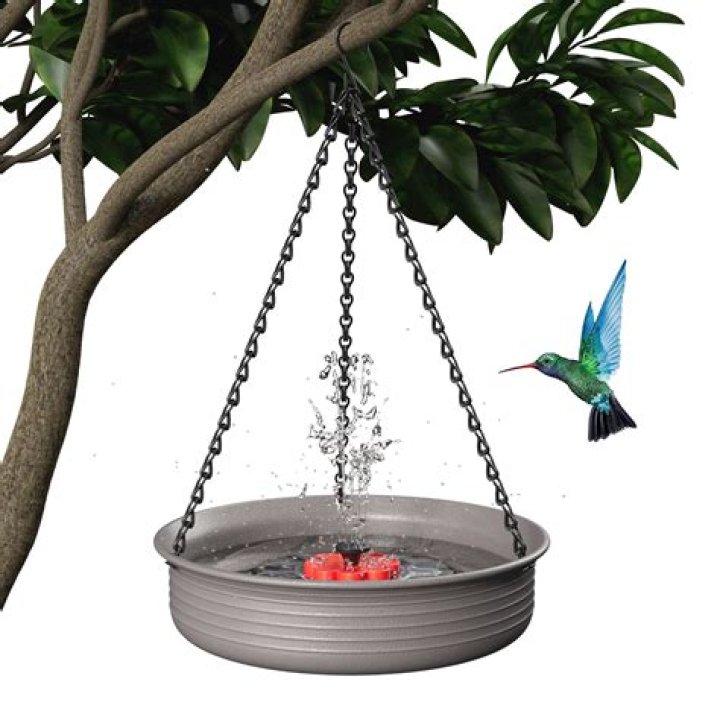 What can I put in my bird bath to kill mosquitoes?