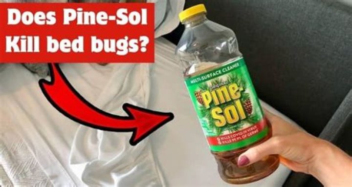 What can I use instead of Pinesol?