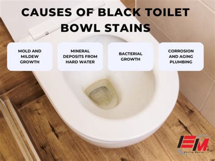 What causes black sediment in toilet bowl?