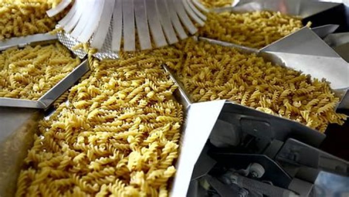 What causes weevils in pasta?