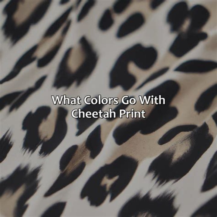 What color goes with cheetah print?
