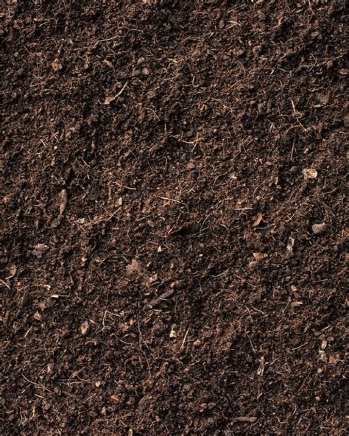 What color is loam soil?
