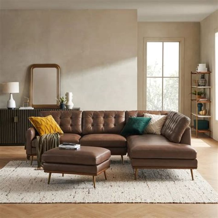What color rug goes best with brown couch?