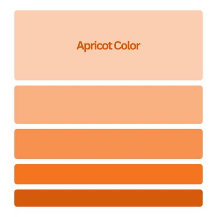 What Colour goes with apricot?
