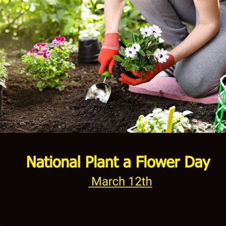 What day is National Plant Day?