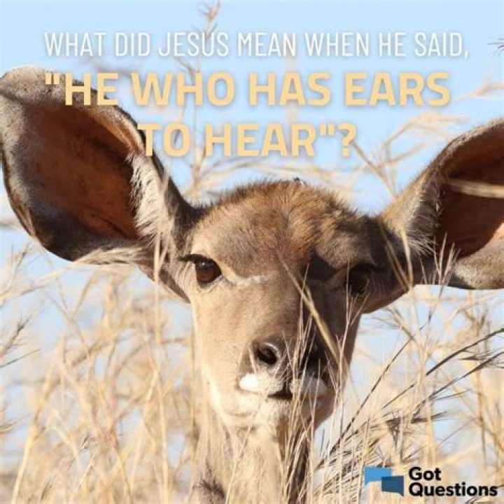 What did Jesus mean when He said, “He who has ears to hear”?