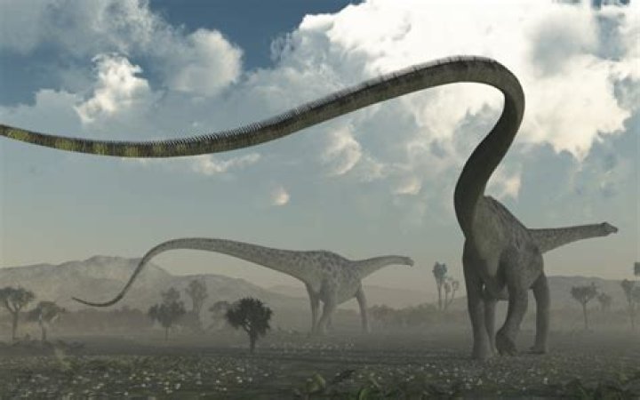 What dinosaur has the longest tail?