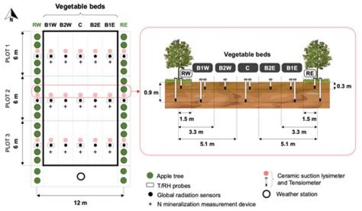 What direction should garden rows be planted?
