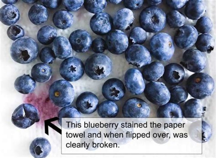 What do blueberries look like on the inside?