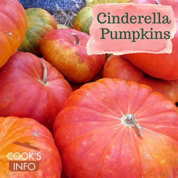What do Cinderella pumpkins look like?