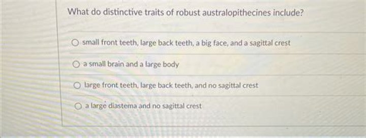 What do distinctive traits of robust australopithecines include?