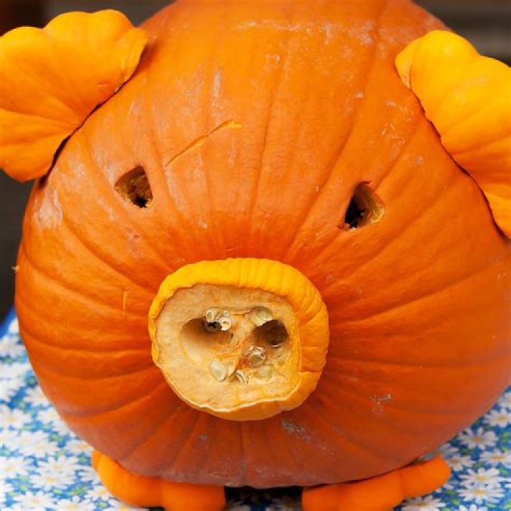 What do you do with a warty pumpkin?