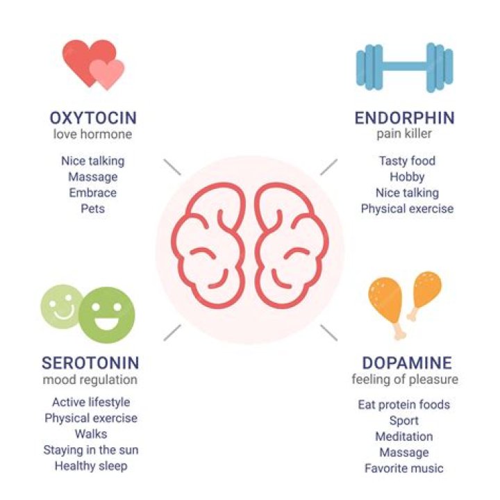 What does a serotonin agonist do?