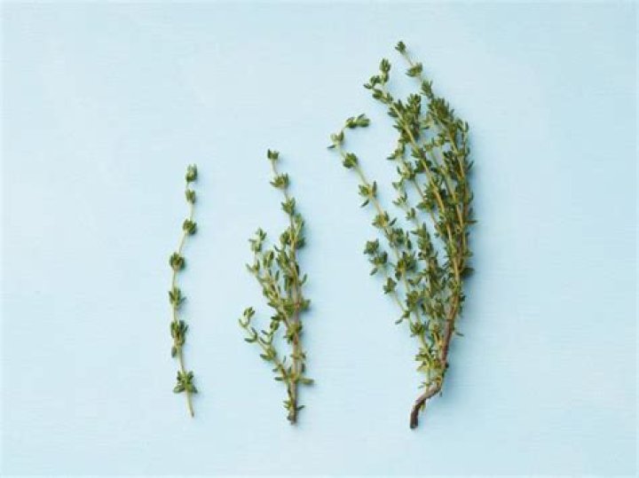 What does a sprig of thyme look like?