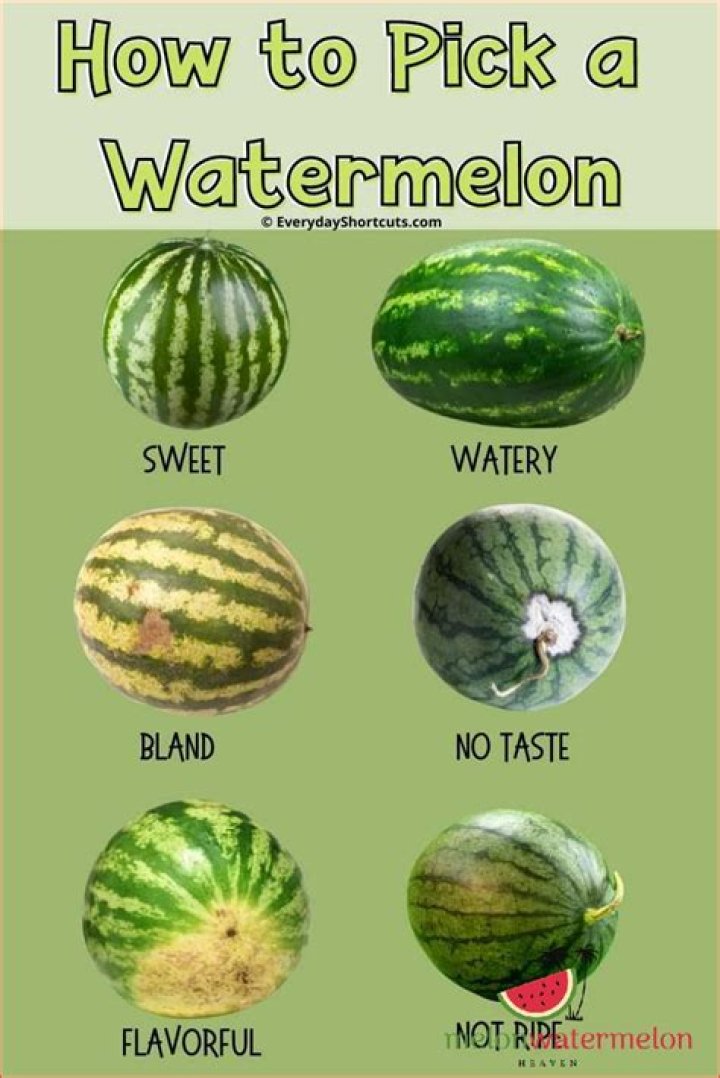 What does a watermelon mean in texting?