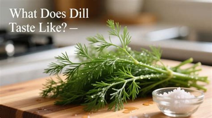 What does being a dill mean?