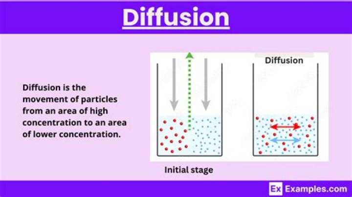 What does diffusion line mean?