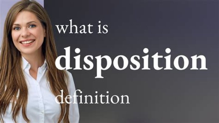What does disposition mean in education?