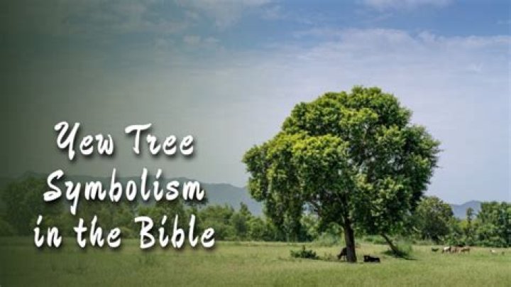 What does fig tree symbolize in the Bible?