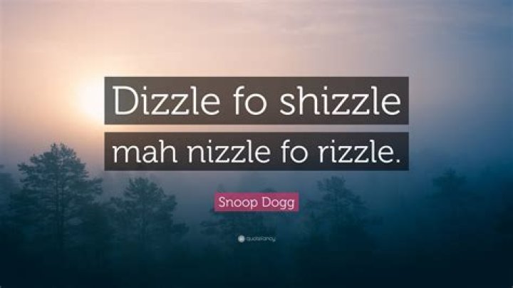 What does Fo Shizzle Dizzle mean?