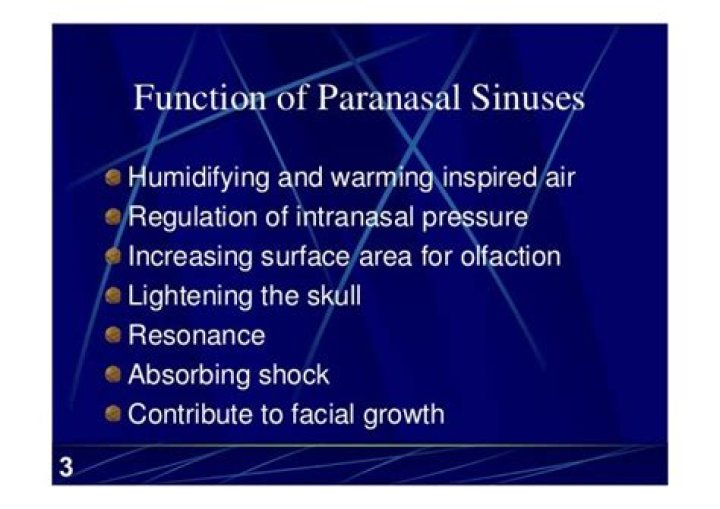 What does it mean if paranasal sinuses are aerated?