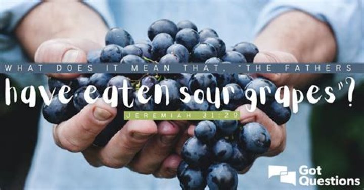 What does it mean that “the fathers have eaten sour grapes” (Jeremiah 31:29)?