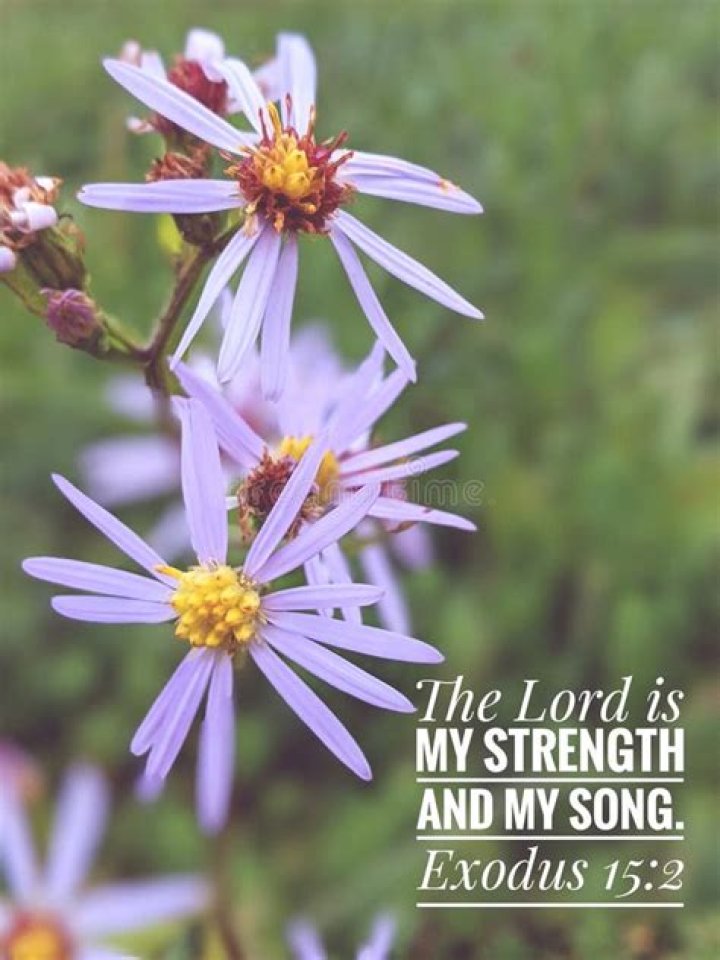 What does it mean that “the Lord is my strength and my song” (Exodus 15:2)?