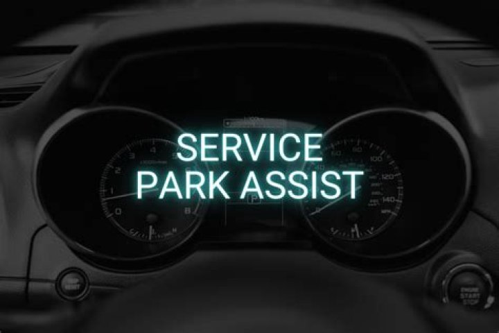 What does it mean when it says service park assist?