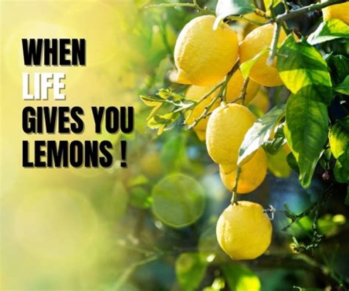 What does it mean when life gives you lemons?