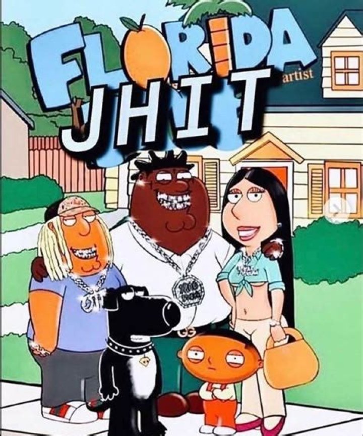 What does JHIT mean in Florida?