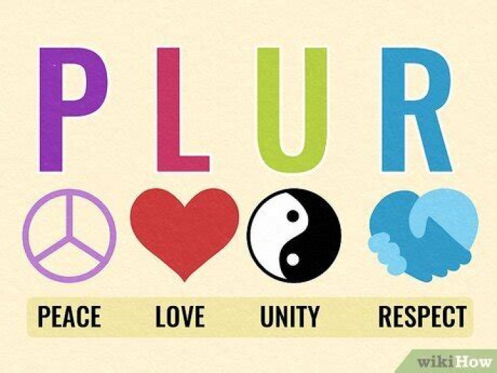 What does PLUR stand for ravers?