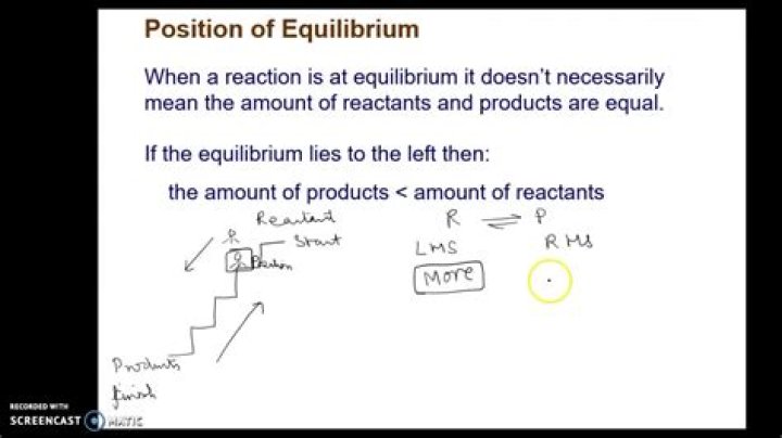 What does position of equilibrium mean?