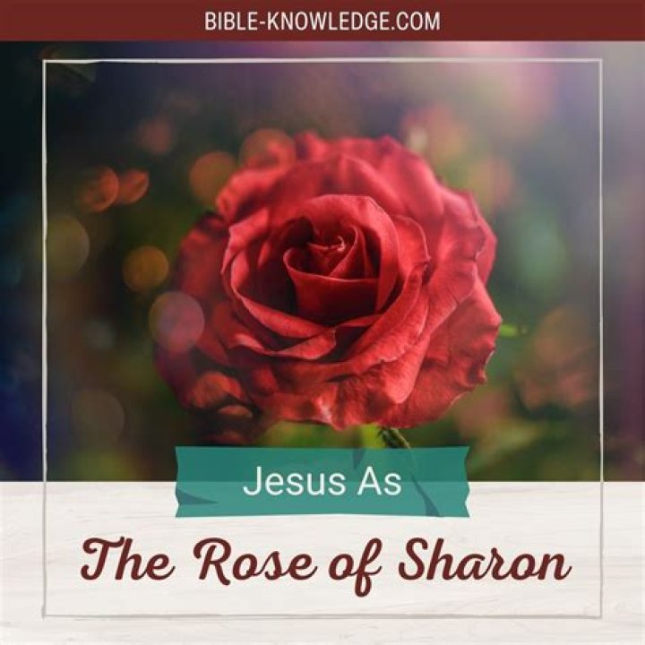 What does Rose of Sharon in the Bible mean?