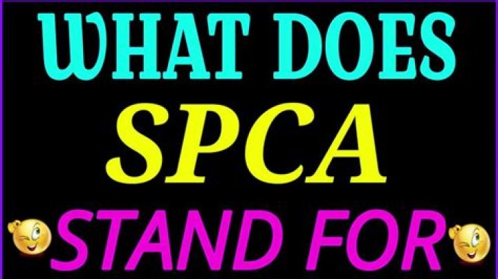 What does SF SPCA Stand For?