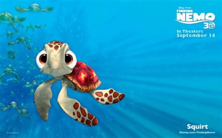 What does squirt say in Finding Nemo?
