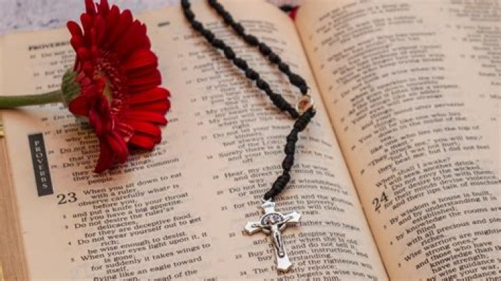 What does the Bible say about hermaphrodites?