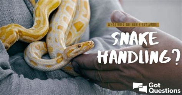 What does the Bible say about snake handling?